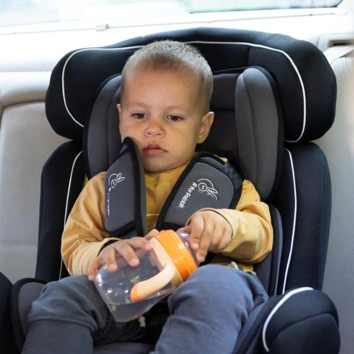 baby car seat rent